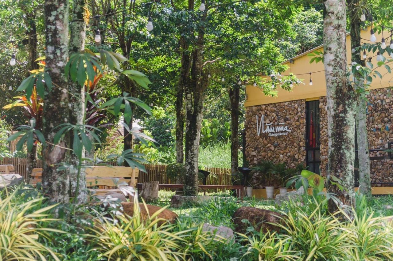 Huong Hoa Nam Mua Bungalows מראה חיצוני תמונה